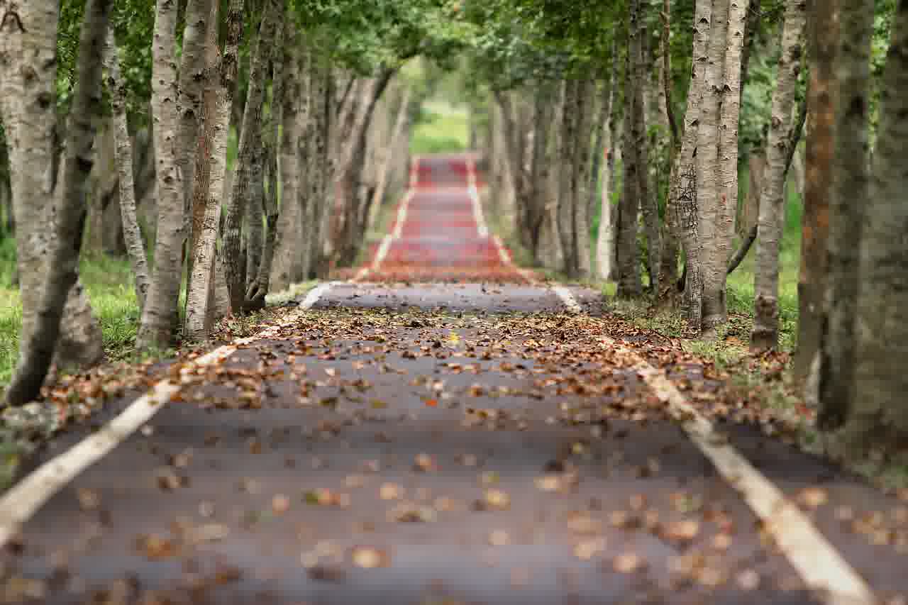 다이소 재고조회 방법 필요한 물품 검색해 보자