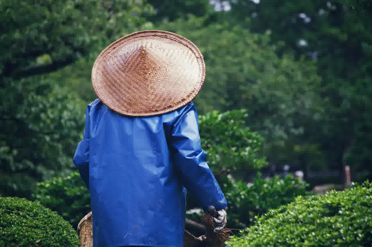 갤럭시 사진 합치기 손쉽게 콜라주 만들기