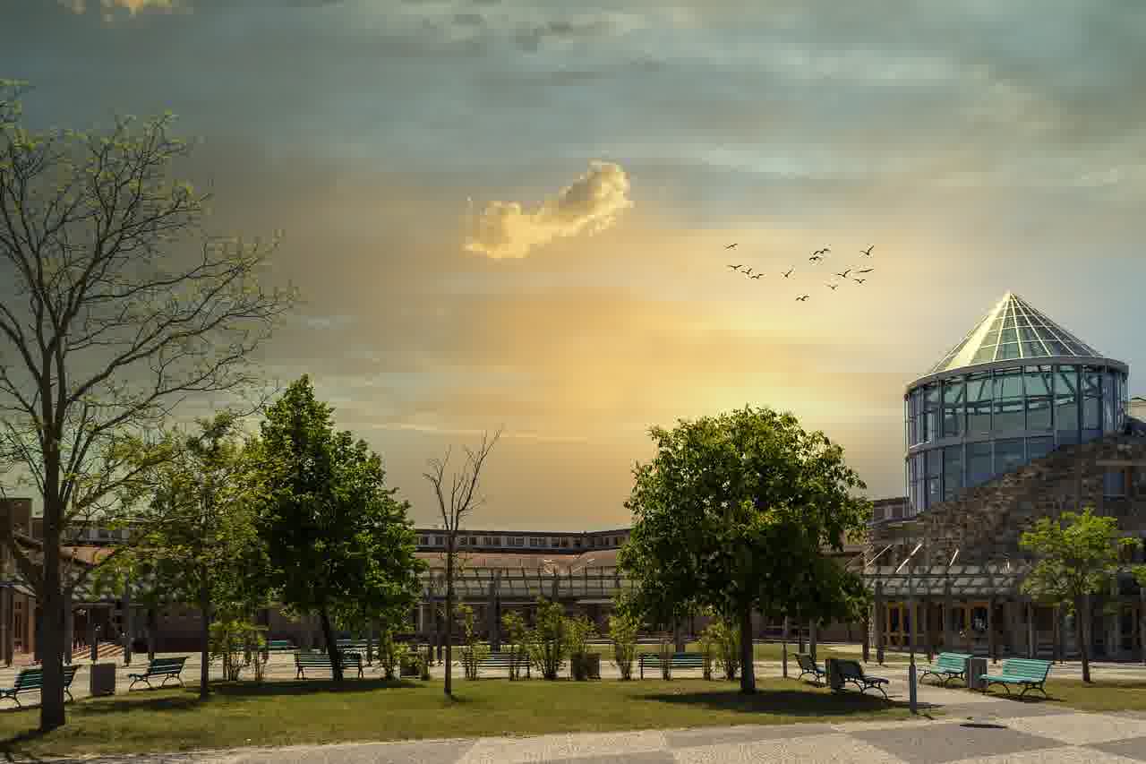 고등학교 졸업증명서 간편하게 인터넷으로 발급받고 PDF로 저장하는 법 알아보기