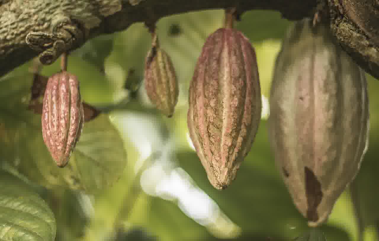카카오톡 사진 전송 오류, 완벽 해결을 위한 노하우 알아보기