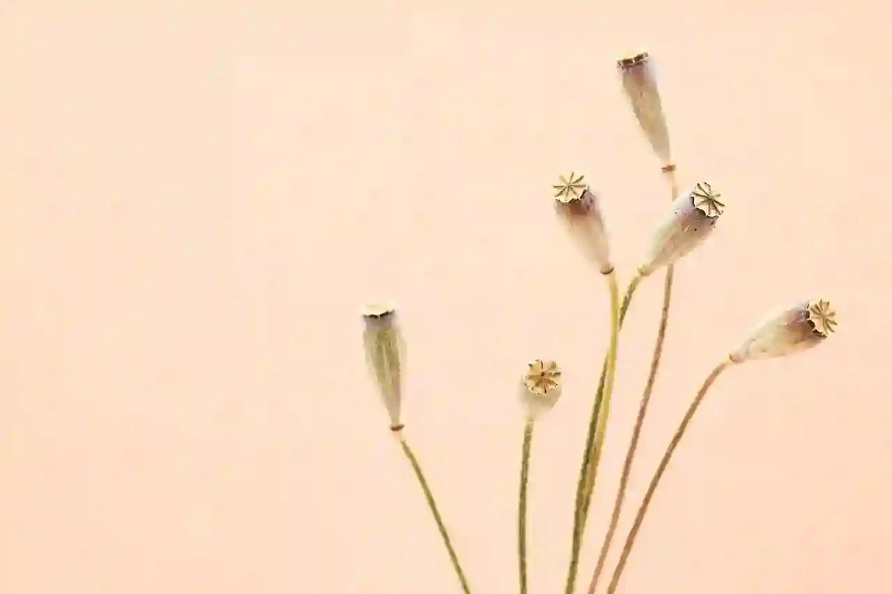 PC카톡 줄바꿈 및 모바일 카톡 줄바꿈 방법