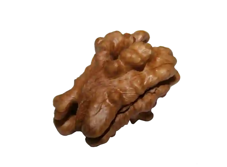 PNG JPG 변환 사이트 없이 PC로 간단히 하는 법
