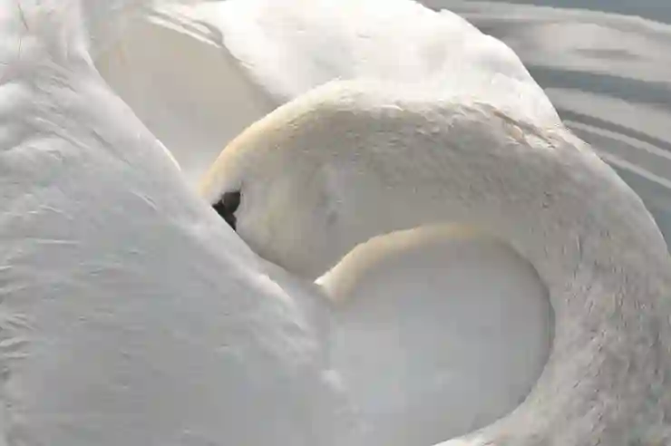 네이버 쇼핑 이미지 검색 꿀팁 완전 정복! 스마트하게 활용하는 방법 총정리