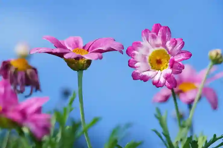 롤 디도스 공격의 위험과 효과적인 방지 방법 알아보기