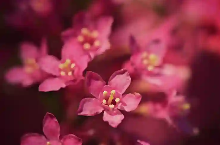 아이폰 공장 초기화 완벽 가이드: 백업부터 간편 설정까지 알아보기