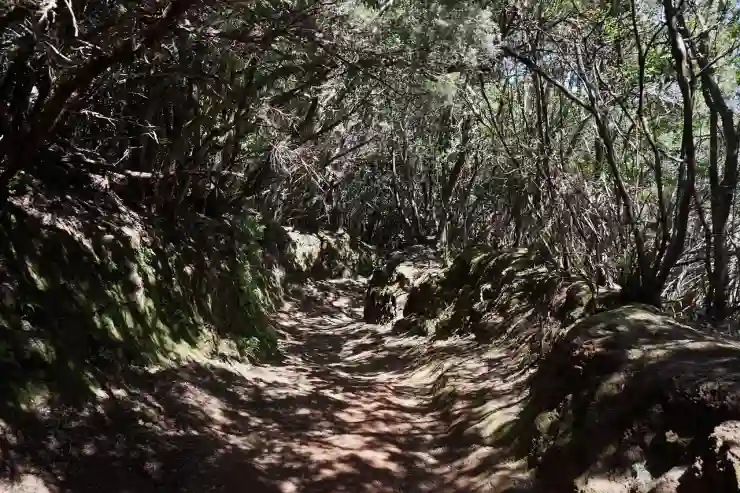 남몰래 조용히 카톡방 떠나는 꿀팁 총정리!