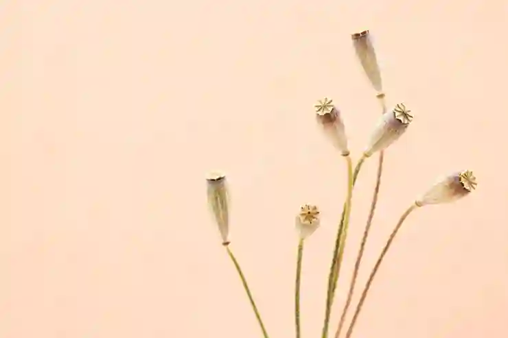 크롬 검색기록 완벽하게 끄고 삭제하는 법 알아보기
