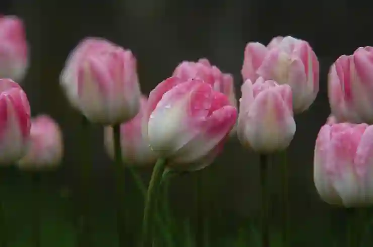 팀뷰어 세션코드 활용법과 사용 팁 알아보기