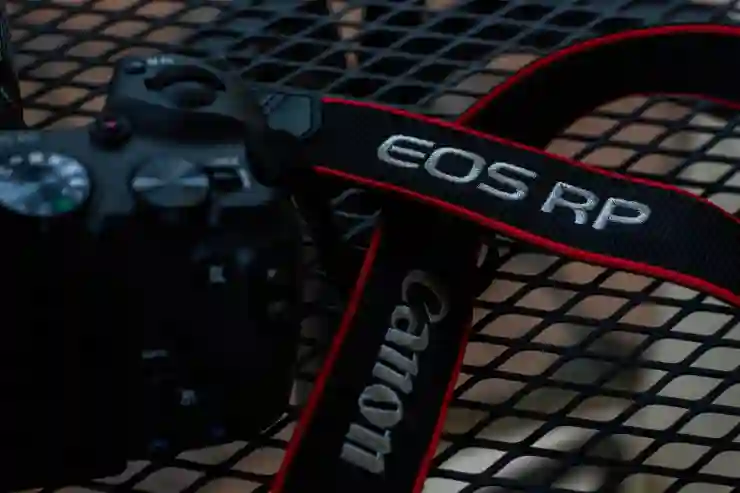 2024년 하반기 미러리스 카메라 신제품 루머 탐구: 캐논 EOS R1과 소니 A1M2의 비밀을 파헤쳐보자