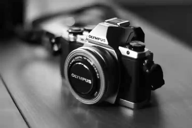 캐논 DSLR 카메라 550D 600D 650D 700D 750D 스펙 특징 분석