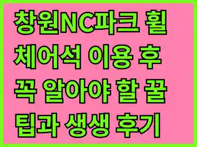 창원NC파크 휠체어석 이용 후 꼭 알아야 할 꿀팁과 생생 후기