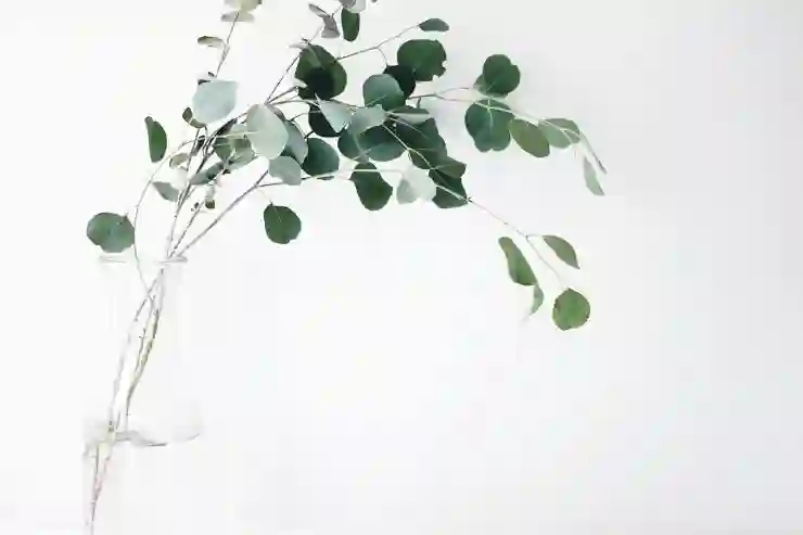 핏빛계약 블라디, 최강의 빌드와 증강체 공략법 알아보기