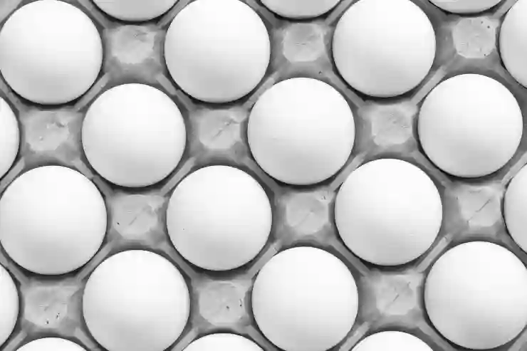 알집 무료 다운로드와 EGG 파일 압축 해제하는 법 알아보기