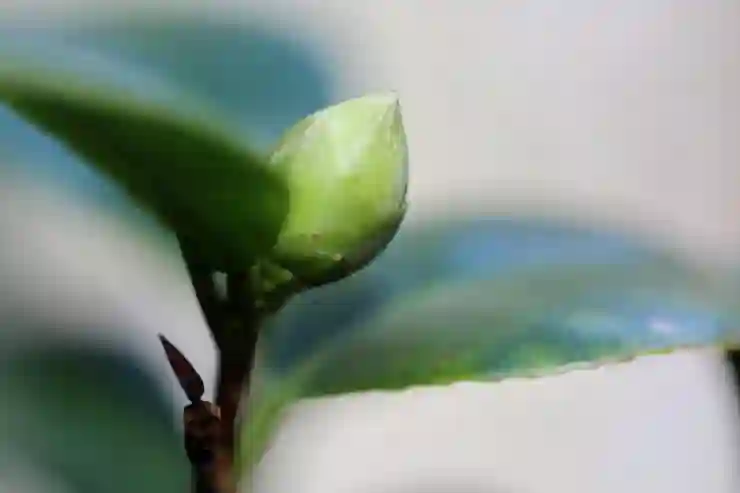 진삼국무쌍M에서 여포 동백을 쉽게 얻는 방법과 최신 쿠폰 활용법 알아보기