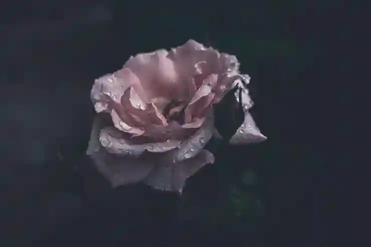 창원NC파크 경기 후 스마트한 교통편 활용법 알아보기