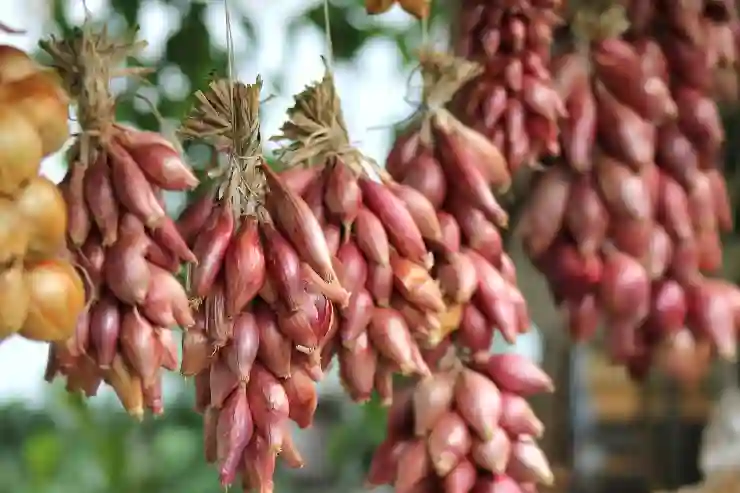 카카오메일 만들고 통합 다음 로그인 활용하는 법 알아보기
