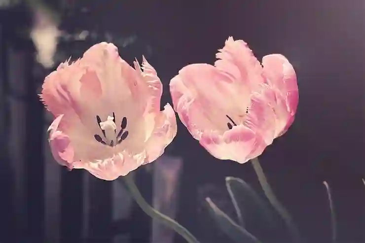 포토샵 도장툴로 잡티 제거하기 꿀팁