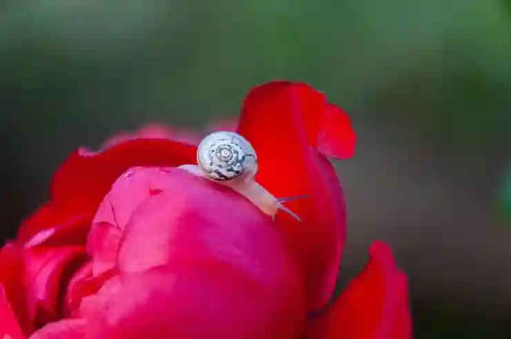 소니 풀프레임 카메라 렌즈 탐론 17-50mm F/4 Di III VXD 발표 및 특징 정보