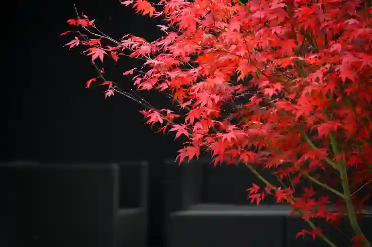 메이플스토리 칼리 스킬트리 및 하이퍼 스킬과 어빌리티 신캐 기준 공략
