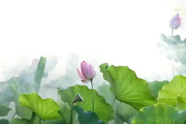 에테르 오브 판타지 50렙 이후 빠른 레벨업 꿀팁 공개!