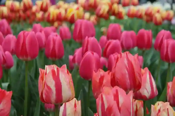 에버소울 리세 등급표 완벽 분석과 아드리안으로 쉽게 이기는 법 알아보기
