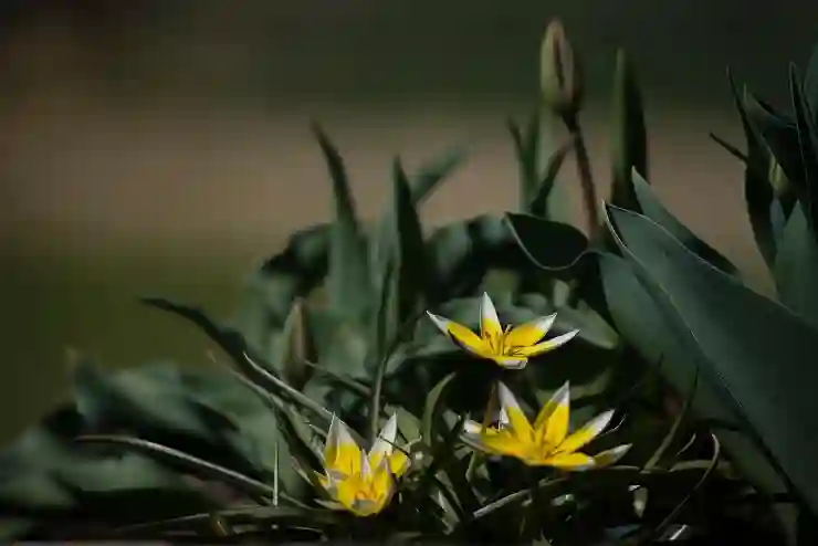 클립다운으로 유튜브 대체하기: 새로운 영상 감상 방법 알아보기