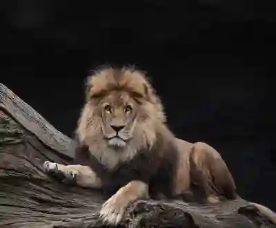 G마켓 타자왕 빅스마일데이 이벤트 경품 소식 살펴보기