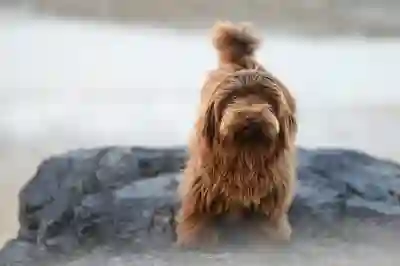 밸러 레전드 초보자를 위한 필수 공략과 쿠폰 활용법 알아보자