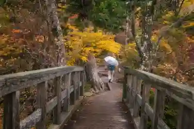 iOS 18 아이패드 업데이트 요청에서 멈춤 발생시 해결 과정 4가지 (Tenorshare ReiBoot)