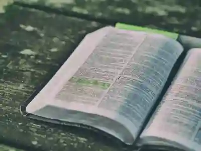 갤럭시 Z플립5 출시일과 사전예약 일정 알아보자