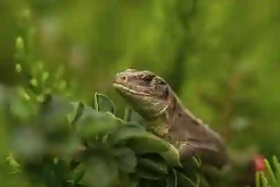 갤럭시워치7 출시일 스펙 울트라 디자인 렌더링 공개 관련 소식