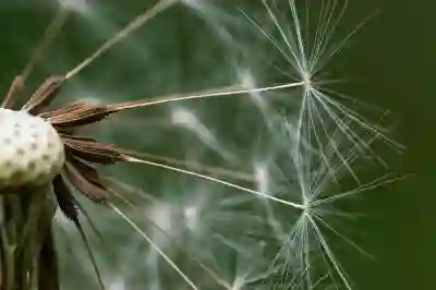 디아블로4 시즌1 직업 추천과 악의 종자 컨텐츠 살펴보기