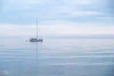 롤토체스 시즌9.5 시너지 변화 살펴보기