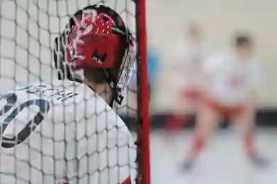 사리서버에서 즐기는 포켓몬 모드의 매력 알아보기
