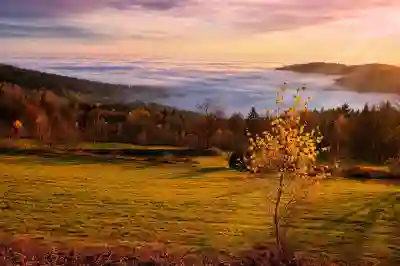 메이플스토리 직업 순위와 추천 캐릭터 살펴보기