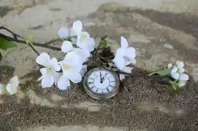 애플워치 초기화 및 페어링 해제 방법, 최신 WatchOS 기준
