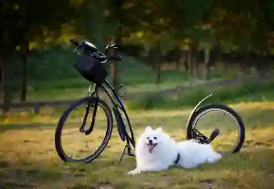 온라인에 적합한 광고대행사 선택법 살펴보기