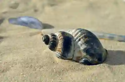 알하이탐 복각 기념 뽑기 꿀팁 알아보자