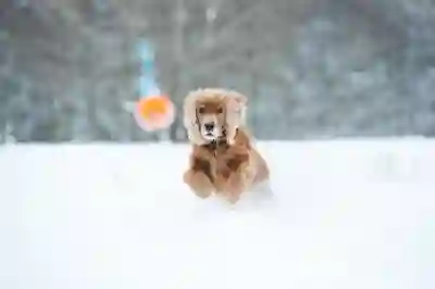 나선비경 6월 상반기 리스트와 플레이 꿀팁 알아보기