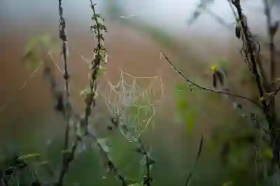 원신 팝업스토어 신촌에서의 특별한 경험 살펴보기