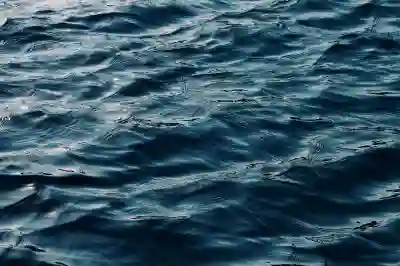 원펀맨 영웅의 길 리세 등급표와 최강의 남자 차이점 알아보기