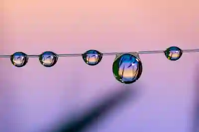 EaseUS Todo Backup Home으로 데이터 백업하는 꿀팁 알아보자