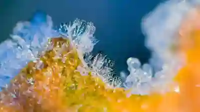 왕눈 마야치노우 사당 공략 꿀팁 4가지