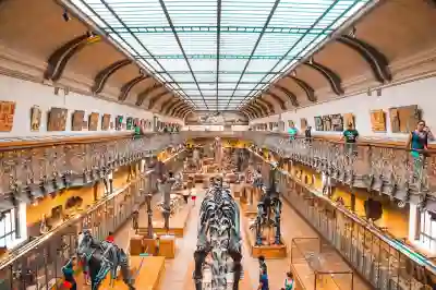 대로트 졸업스킬과 약점, 나목령 진화 포켓몬 알아보자