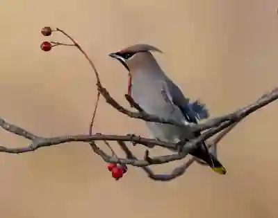 황유민, 스윙 교정 과정