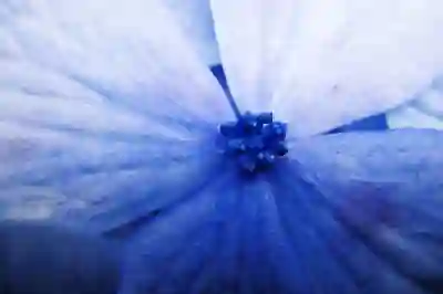 모바일전략게임 S.O.S: 스테이트 오브 서바이벌 릴카가 참여하는 썸타는 써머 라이브