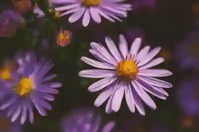 미국주식사는법 8가지의 혜택 자세히 살펴보니