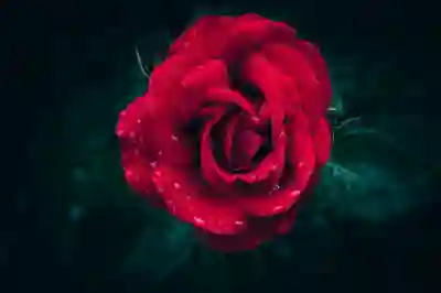 NFT 민팅 뜻과 실제로 적용되고 있는 사례와 거래 과정 이해해보기 (feat. 업비트)