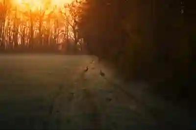 넷플릭스 가입과 유튜브 프리미엄 두 마리 토끼 잡는 유플러스 요금제