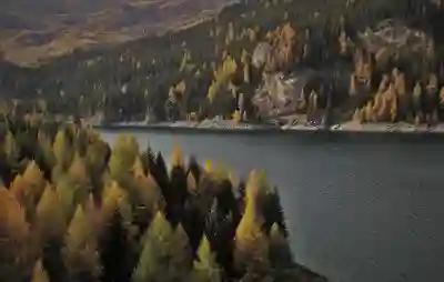 마인드맵 프로그램 EdrawMind로 ppt 만들기 쉽게 하는 방법